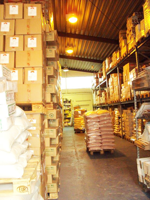 Gewuerze_Spices_Spice_Bremen